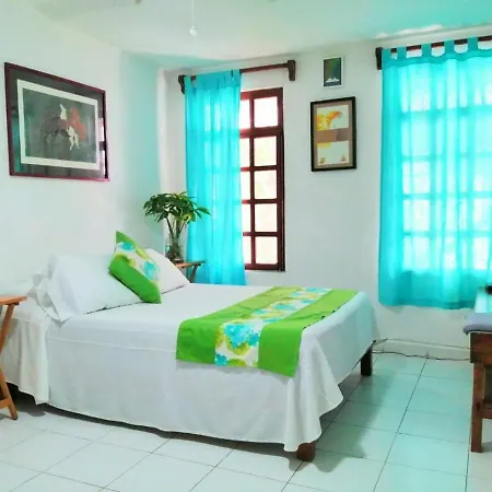 Cozy Room - Cancun Downtown